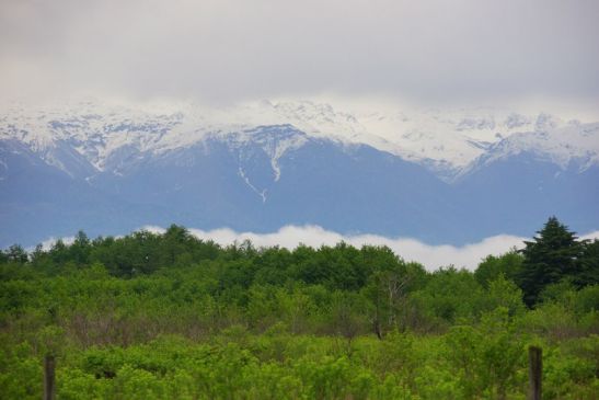 Природные виды Абхазии в апреле особенно живописны