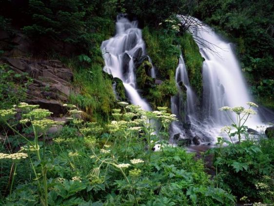 Пшадские водопады - кусочек рая на Геленджикской земле