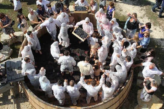 Именно в октябре начинаются различные культурные события, посвященные как сбору урожая, так и началу производства вина (подворье винодела Яниса Каракезиди)