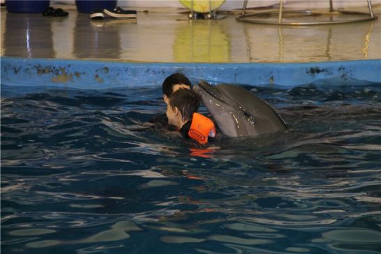 Поплавать с дельфинами не только интересно, но и очень полезно